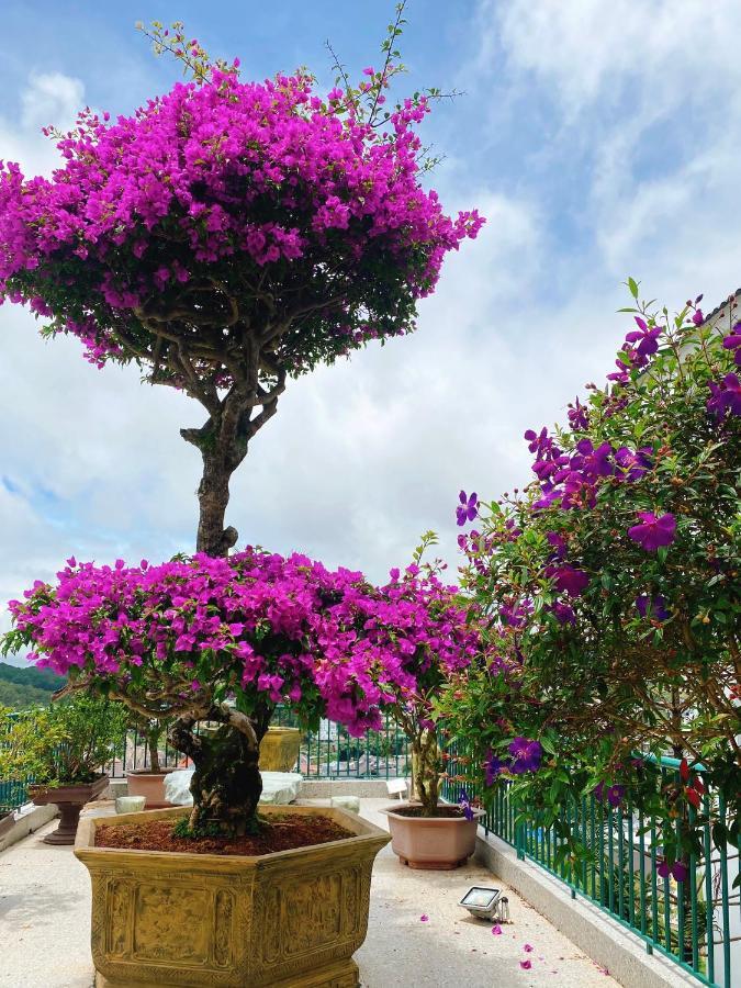 Nang Mai Homestay Da Lat Esterno foto